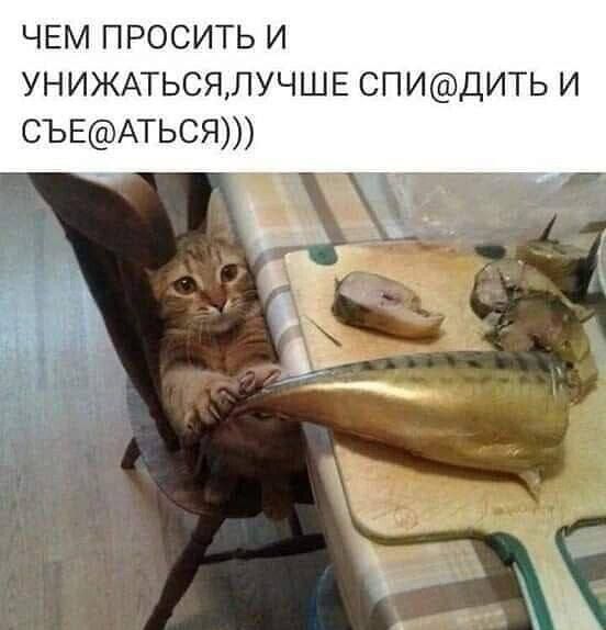 ЧЕМ ПРОСИТЬ И УНИЖАТЬСЯ,ЛУЧШЕ СПИЗДИТЬ И СЪЕ@АТЬСЯ)))