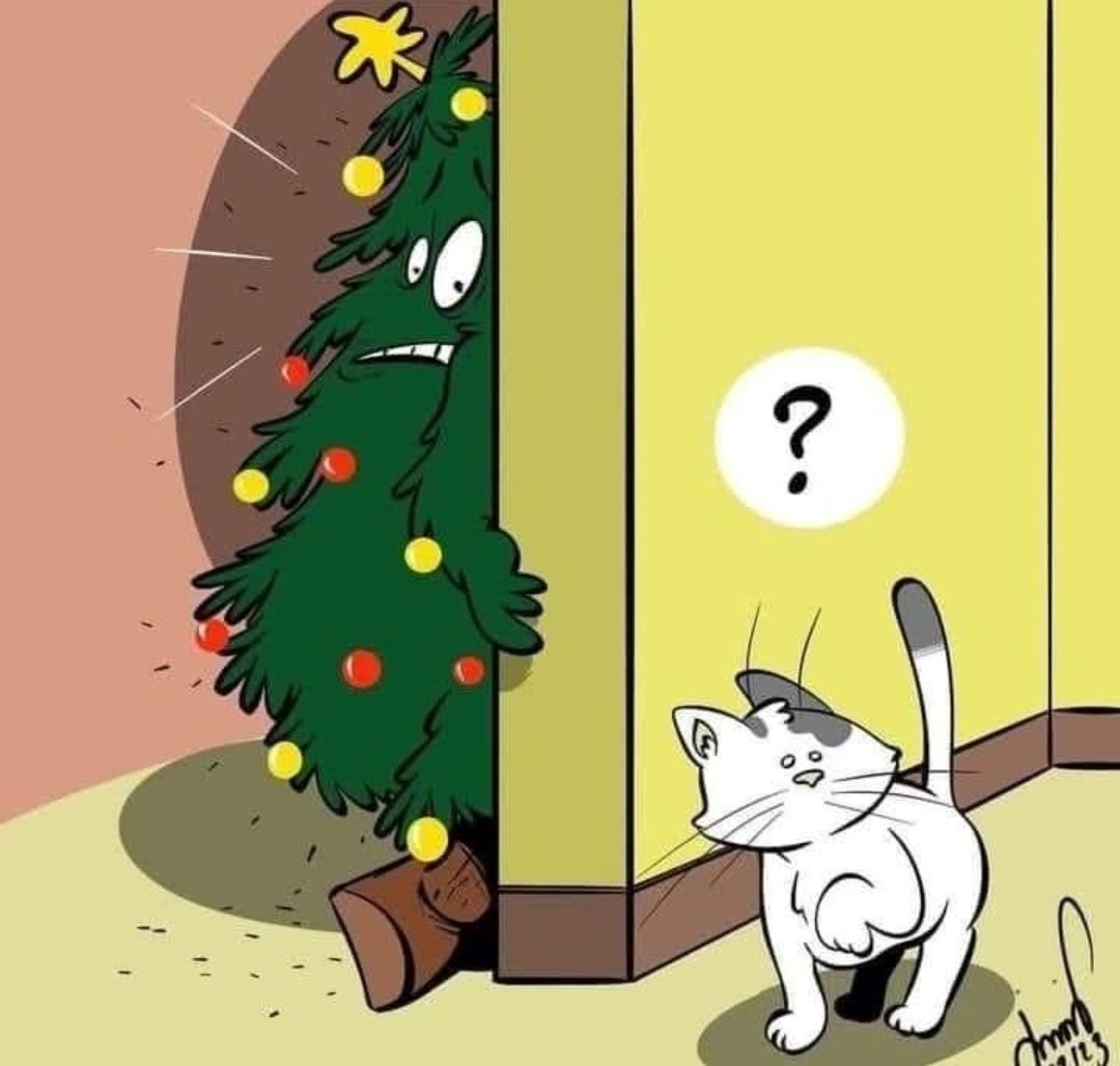 Кот с удивлением смотрит на наряженную елку, выглядывающую из-за двери.
