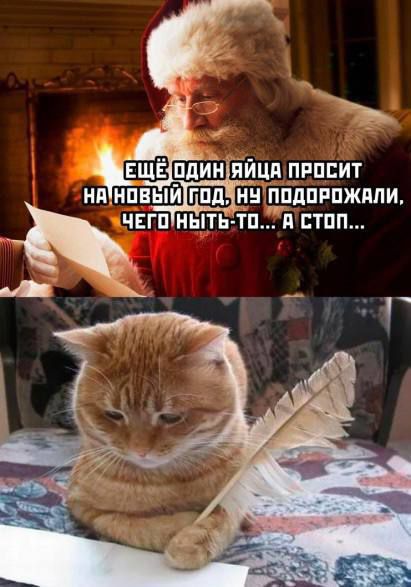 ЕЩЕ ОДИН ЯЙЦА ПРОСИТ НА НОВЫЙ ГОД, НУ ПОДОРОЖАЛИ, ЧЕГО НЫТЬ-ТО... А СТОП...