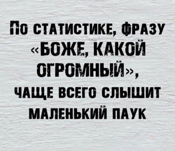 По статистике, фразу «БОЖЕ, КАКОЙ ОГРОМНЫЙ», чаще всего слышит маленький паук