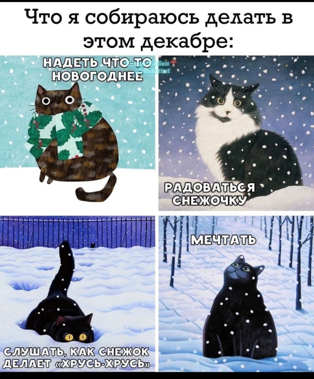 Что я собираюсь делать в этом декабре:
НАДЕТЬ ЧТО-ТО НОВОГОДНЕЕ
РАДОВАТЬСЯ СНЕЖОЧКУ
СЛУШАТЬ, КАК СНЕЖОК ДЕЛАЕТ «ХРУС-ХРУС»
МЕЧТАТЬ