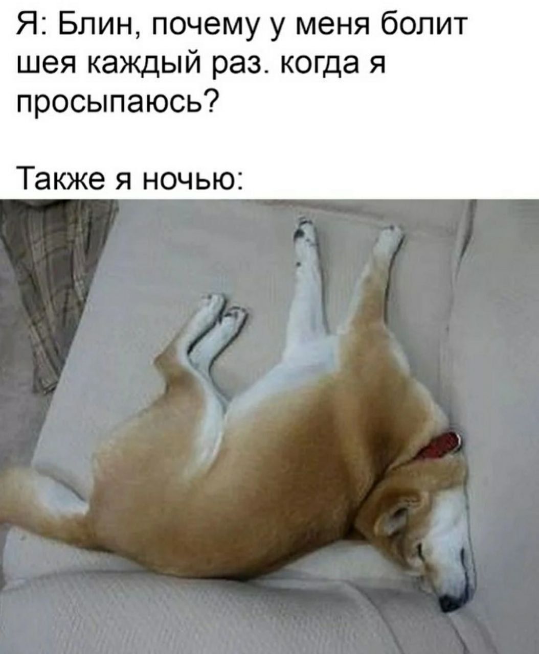 Я: Блин, почему у меня болит шея каждый раз, когда я просыпаюсь?
Также я ночью: