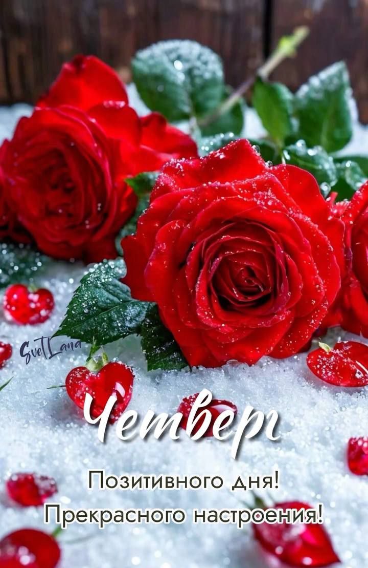 Четверг Позитивного дня! Прекрасного настроения!
