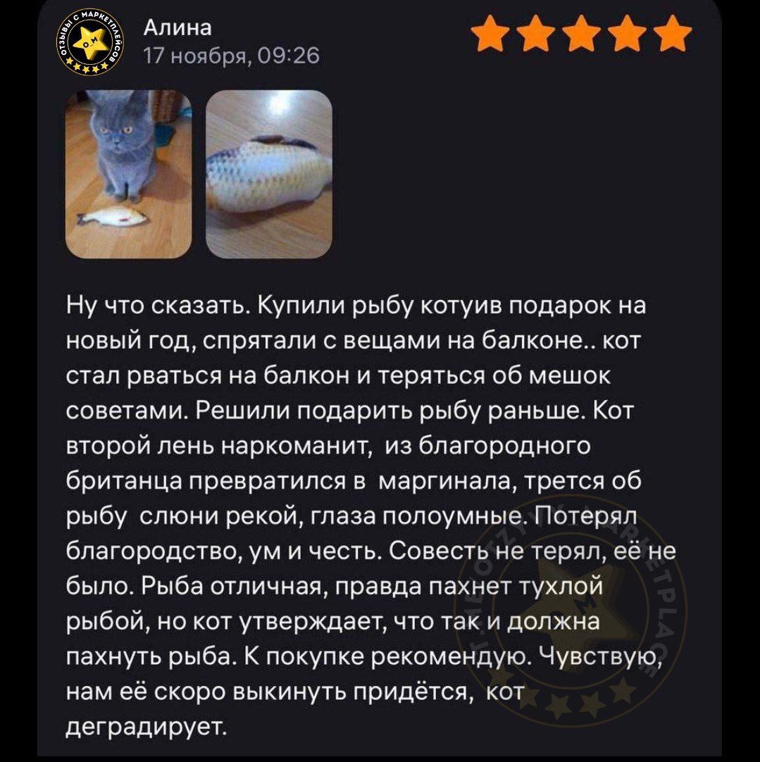 Ну что сказать. Купили рыбу коту подарок на новый год, спрятали с вещами на балконе.. кот стал рваться на балкон и тереться об мешок. Решили подарить рыбу раньше. Рыба пахнет тухлой рыбой, но кот утверждает что так должна пахнуть рыба. К покупке рекомендую.