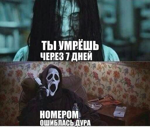 ТЫ УМРЁШЬ ЧЕРЕЗ 7 ДНЕЙ НОМЕРОМ ОШИБЛАСЬ ДУРА