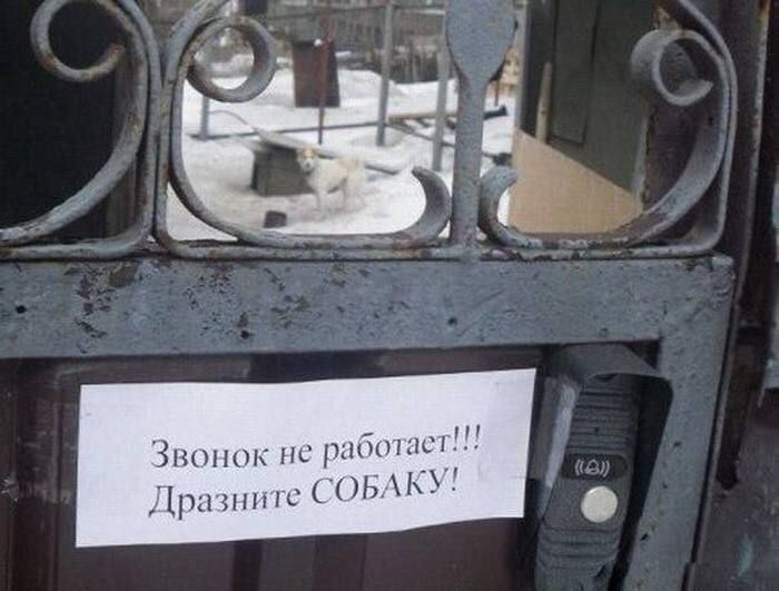 Звонок не работает!!! Дразните СОБАКУ!