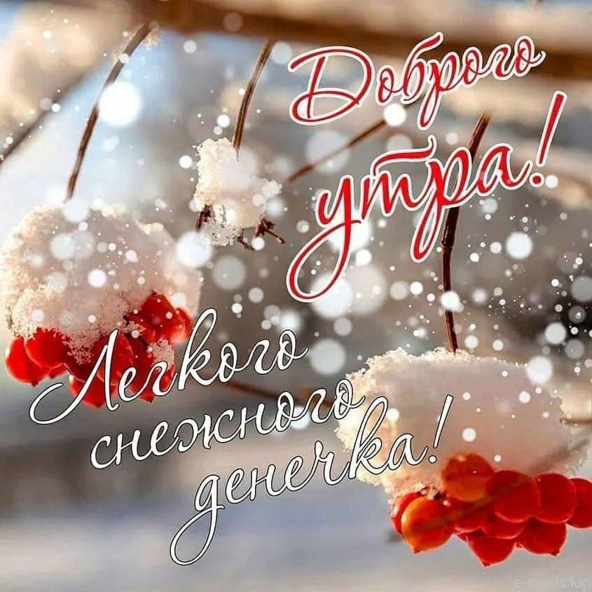 Доброе утро! Легкого снежного денечка!