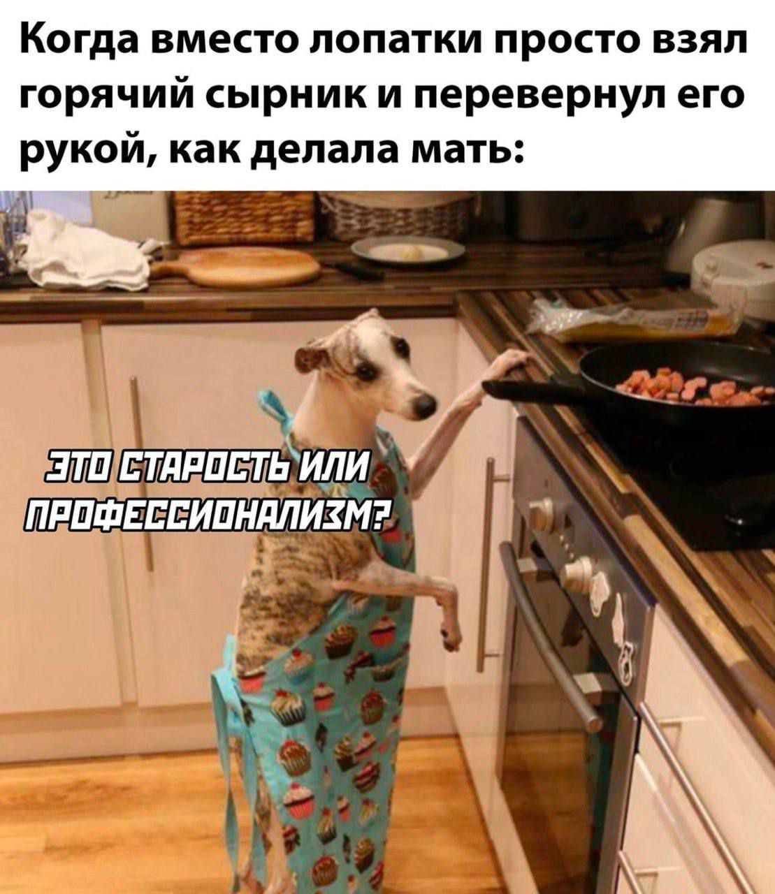 Когда вместо лопатки просто взял горячий сырник и перевернул его рукой, как делала мать: ЭТО СТАРОСТЬ ИЛИ ПРОФЕССИОНАЛИЗМ?
