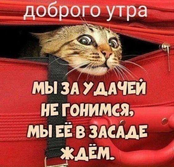 доброе утро мы за дачей не гоняемся, мы её в засаде ждём.