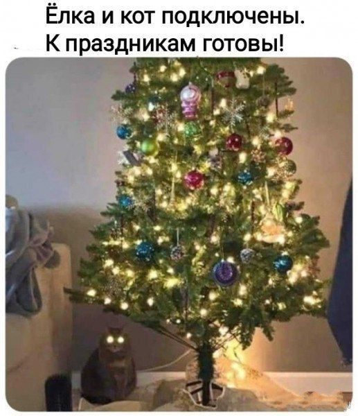 Ёлка и кот подключены. К праздникам готовы!