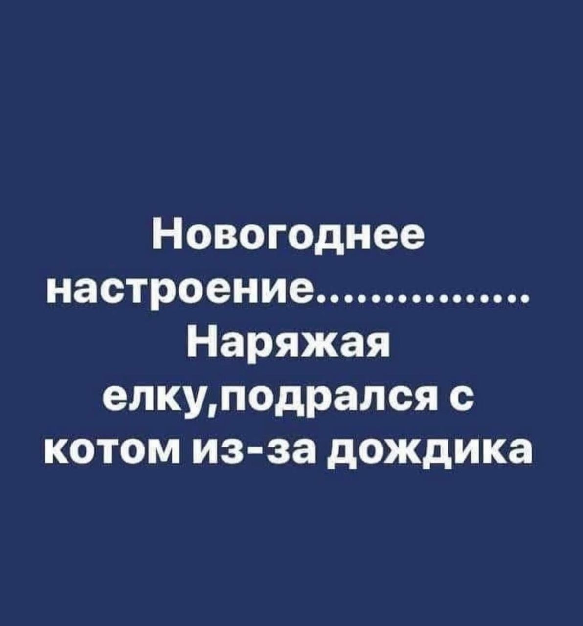 Новогоднее настроение................. Наряжая елку,подрался с котом из-за дождика