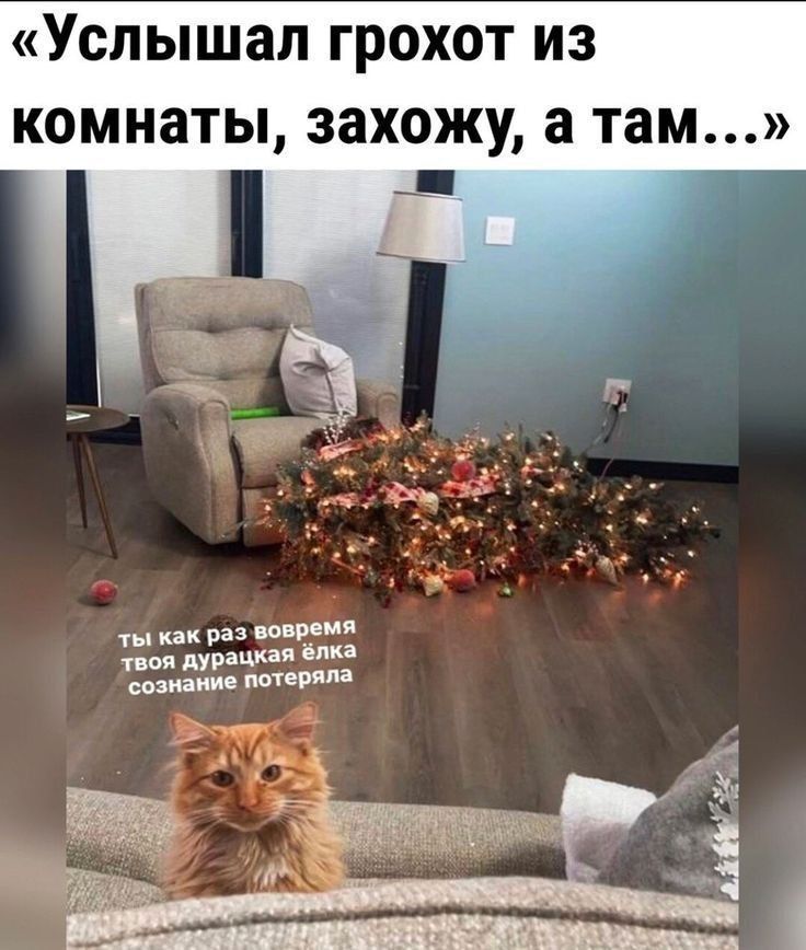 «Услышал грохот из комнаты, захожу, а там…»\nты как раз вовремя твоя дурацкая елка сознание потеряла