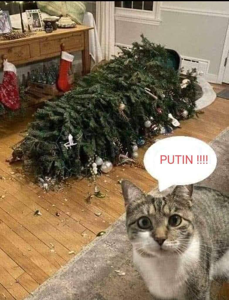 PUTIN !!!!