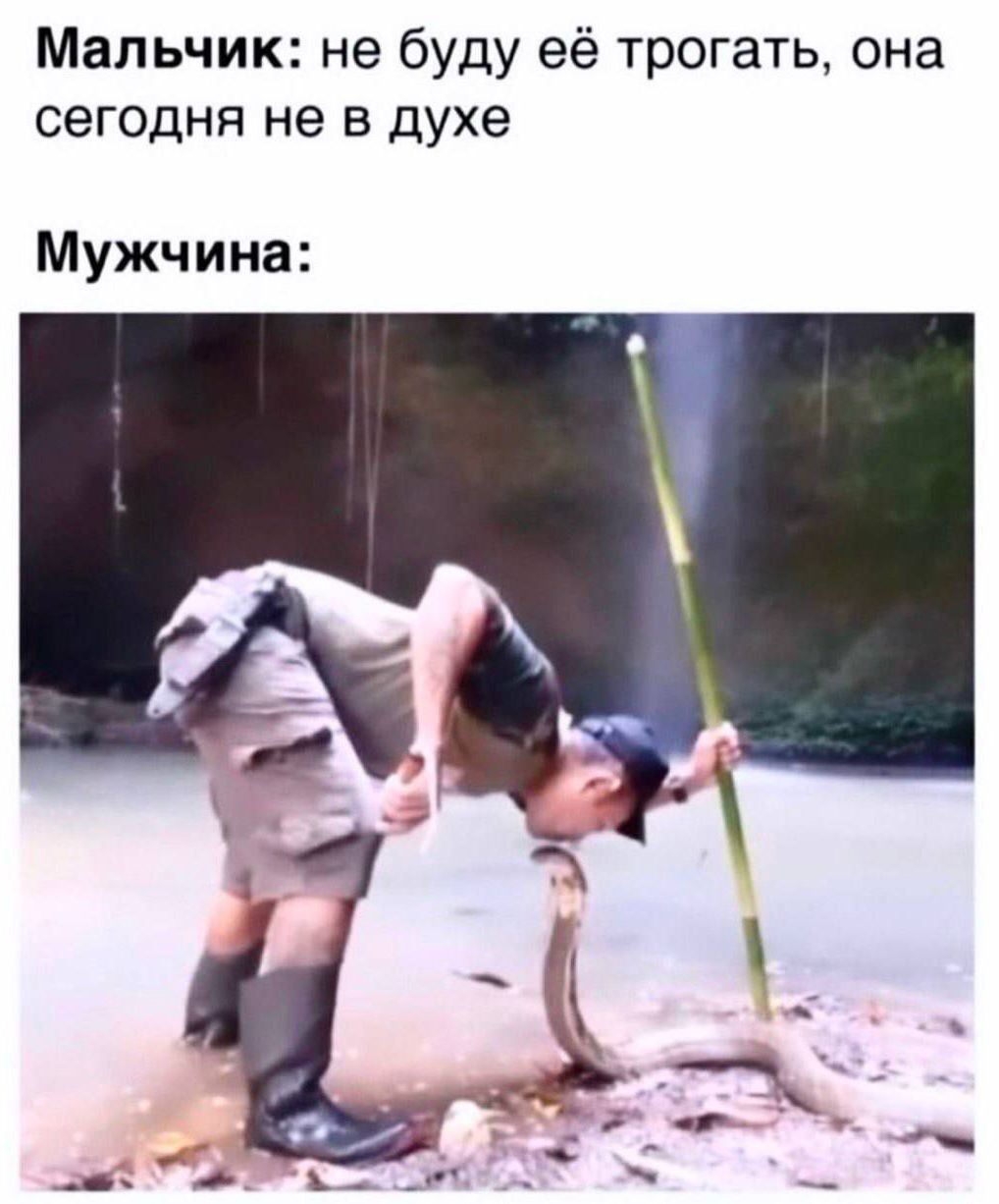 Мальчик: не буду её трогать, она сегодня не в духе\nМужчина: