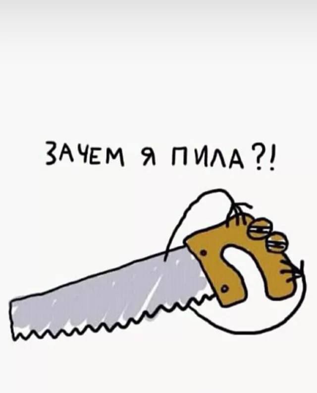 ЗАЧЕМ Я ПИЛА?!