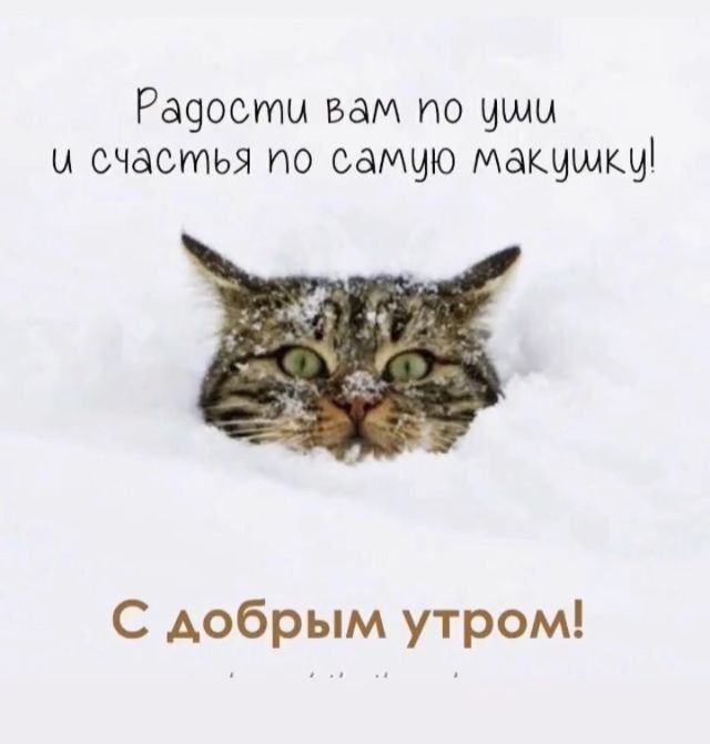 Раздости вам по уши и счастья по самую макушку! 
С добрым утром!