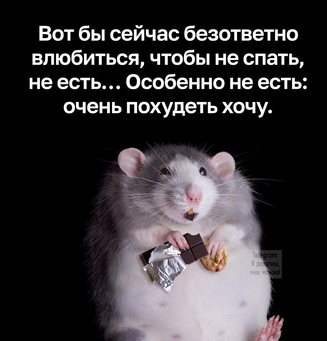 Вот бы сейчас безответно влюбиться, чтобы не спать, не есть… Особенно не есть: очень похудеть хочу.