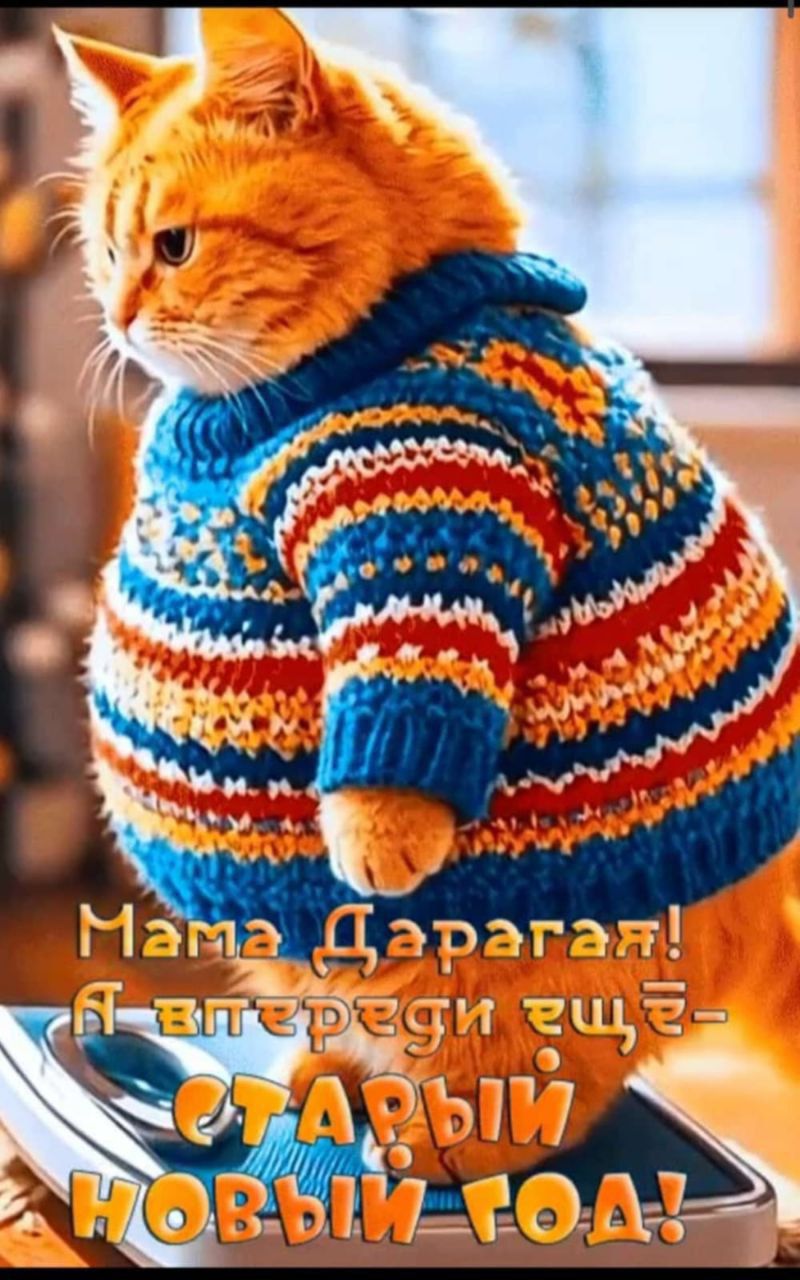 Мама дорогая! А встречать будем — Старый Новый год!