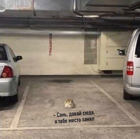 - Сань. давай сюда. я тебе место занял