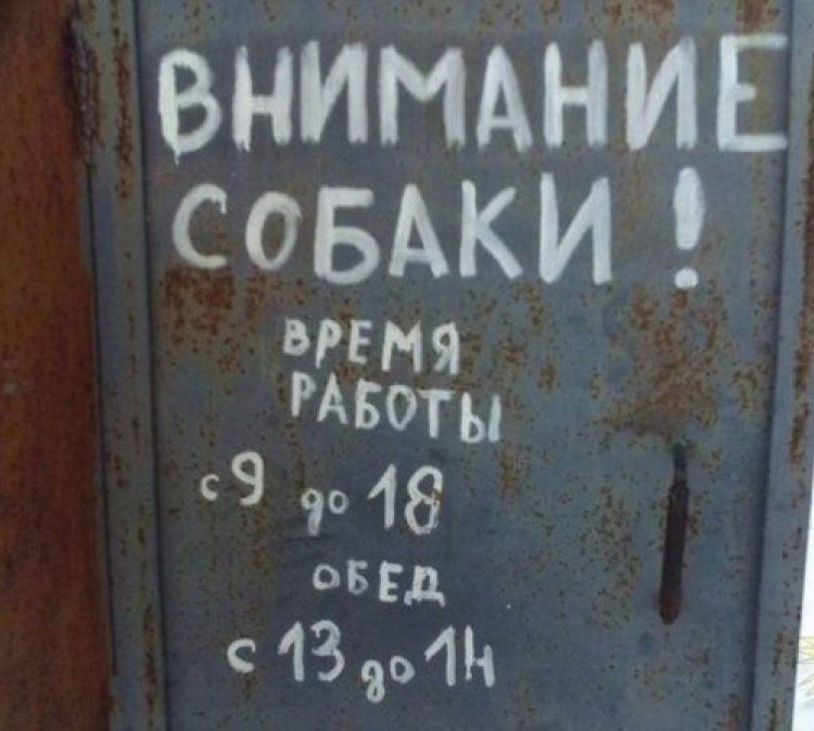 ВНИМАНИЕ СОБАКИ! ВРЕМЯ РАБОТЫ с 9 до 18 ОБЕД с 13 до 14