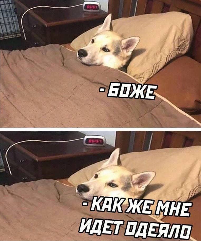 - БОЖЕ
- КАК ЖЕ МНЕ ИДЕТ ОДЕЯЛО