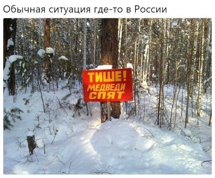ТИШЕ! МЕДВЕДИ СПЯТ Обычная ситуация где-то в России