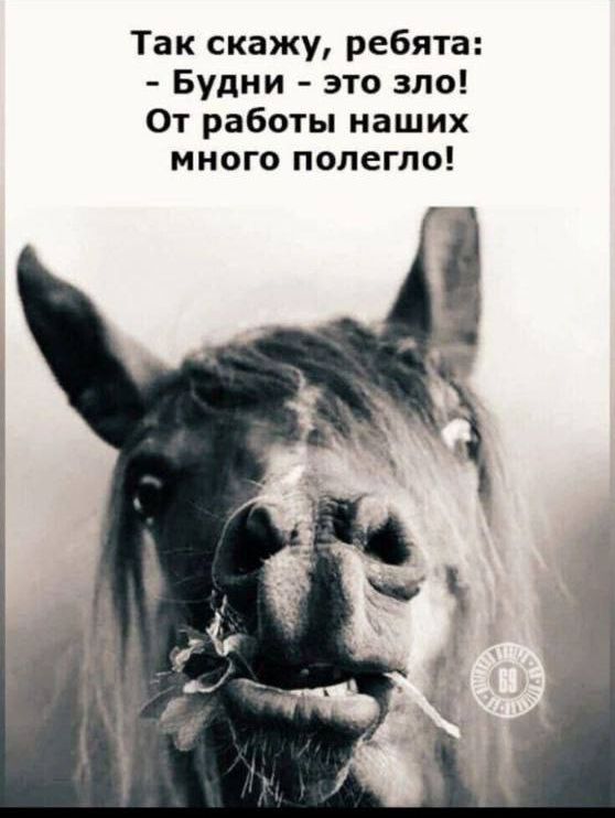 Так скажу, ребята: - Будни - это зло! От работы наших много полегло!