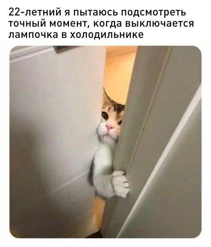 22-летний я пытаюсь посмотреть точный момент, когда выключается лампочка в холодильнике