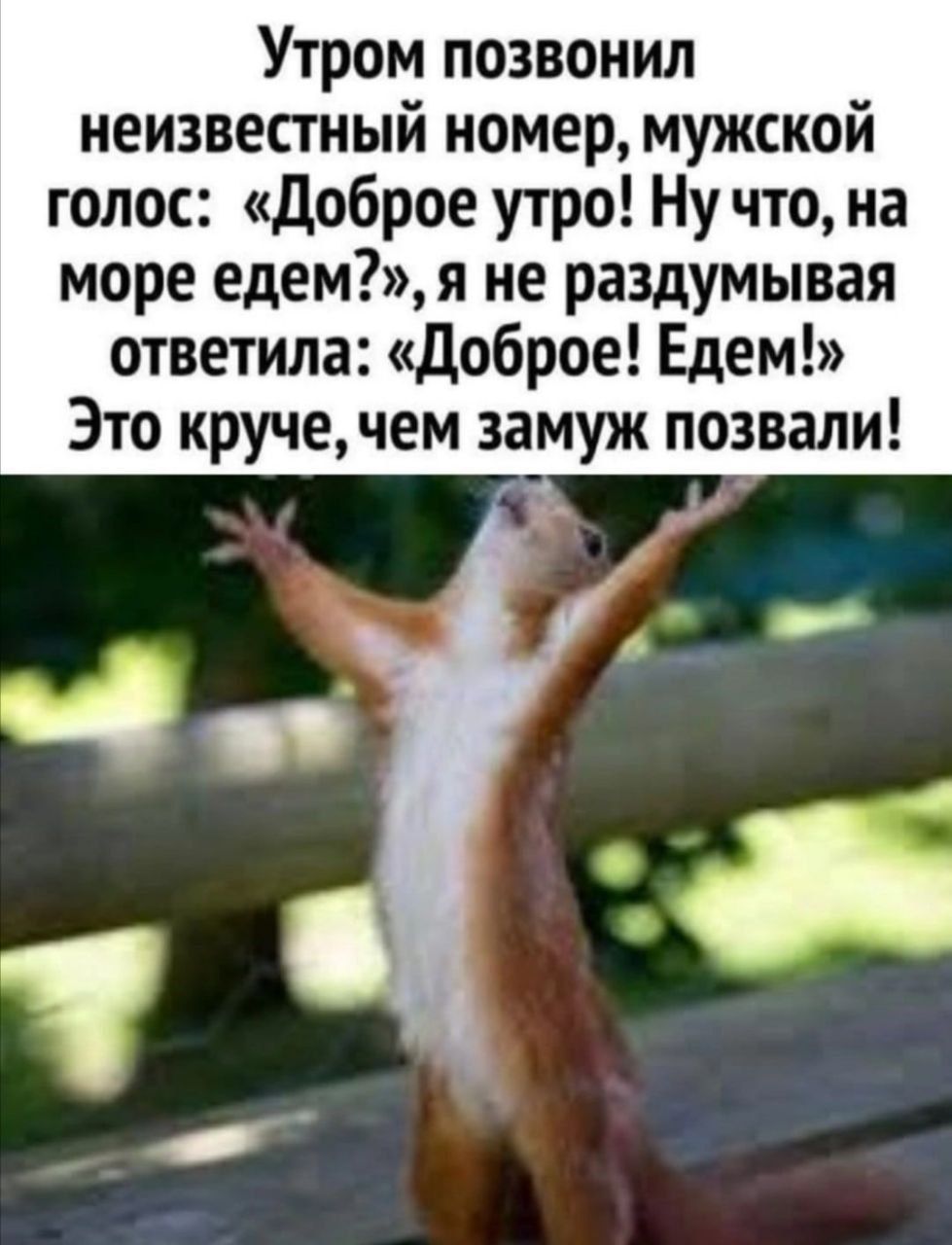 Утром позвонил неизвестный номер, мужской голос: «Доброе утро! Ну что, на море едем?», я не раздумывая ответила: «Доброе! Едем!» Это круче, чем замуж позвали!
