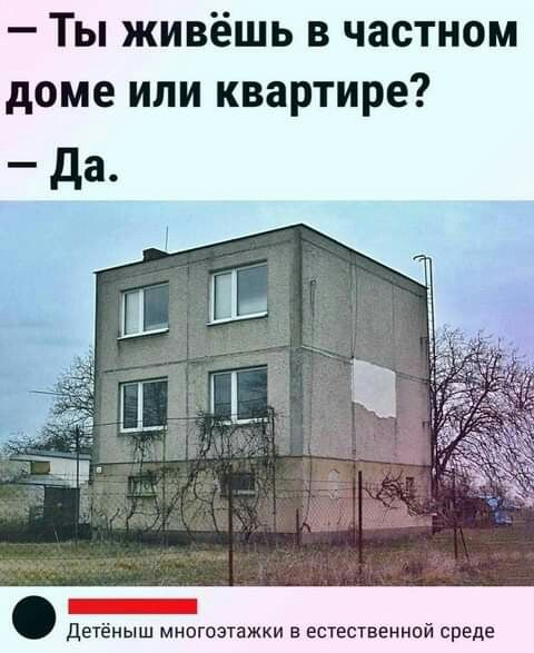 — Ты живёшь в частном доме или квартире? — Да.