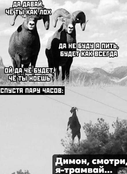 ДА ДАВАЙ, ЧЁ ТЫ КАК ЛОХ
ДА НЕ БУДУ Я ПИТЬ, БУДЕТ КАК ВСЕГДА
ОЙ ДА ЧЁ БУДЕТ, ЧЁ ТЫ НОЕШЬ
СПУСТЯ ПАРУ ЧАСОВ:
Димон, смотри, я-трамвай...