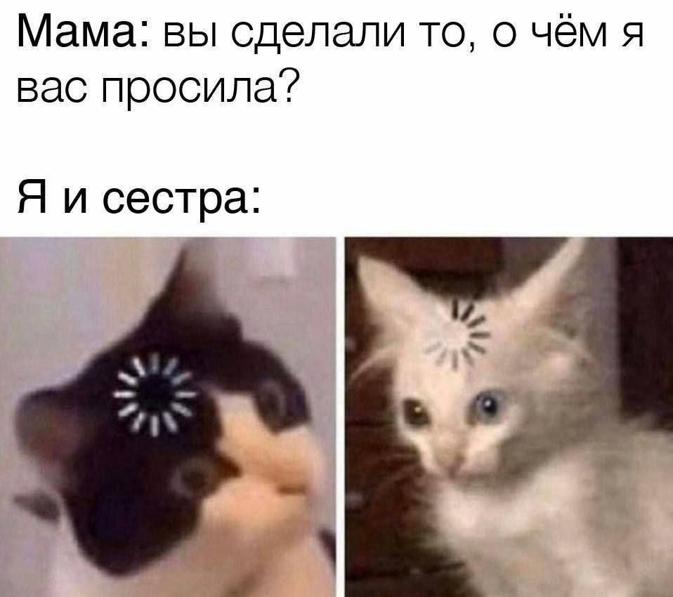 Мама: вы сделали то, о чём я вас просила? Я и сестра: