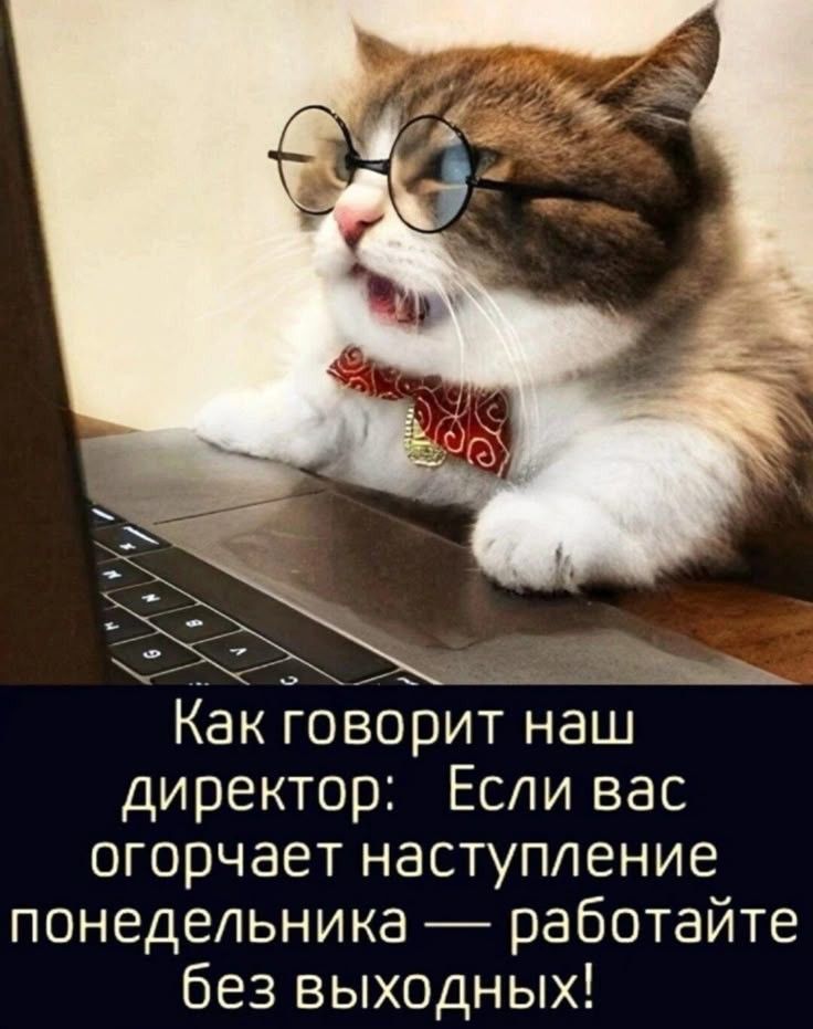 Как говорит наш директор: Если вас огорчает наступление понедельника — работайте без выходных!