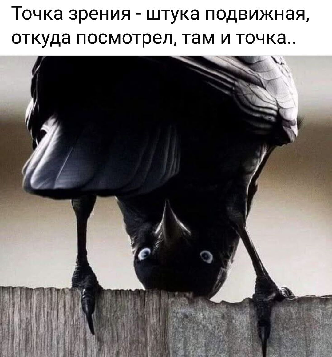 Точка зрения - штука подвижная, откуда посмотрел, там и точка..