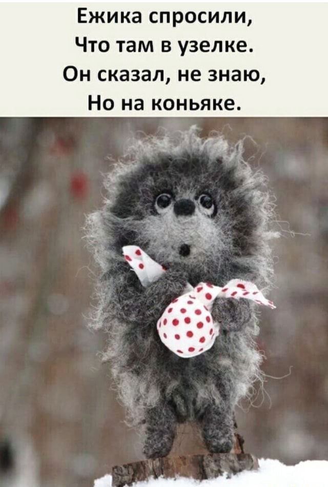 Ежика спросили,
Что там в узелке.
Он сказал, не знаю,
Но на коньяке.