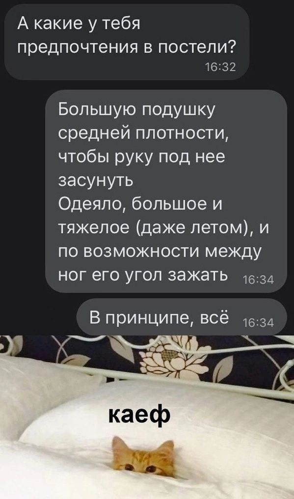 А какие у тебя предпочтения в постели?
Большую подушку средней плотности, чтобы руку под нее засунуть Одеяло, большое и тяжелое (даже летом), и по возможности между ног его угол зажать
В принципе, всё