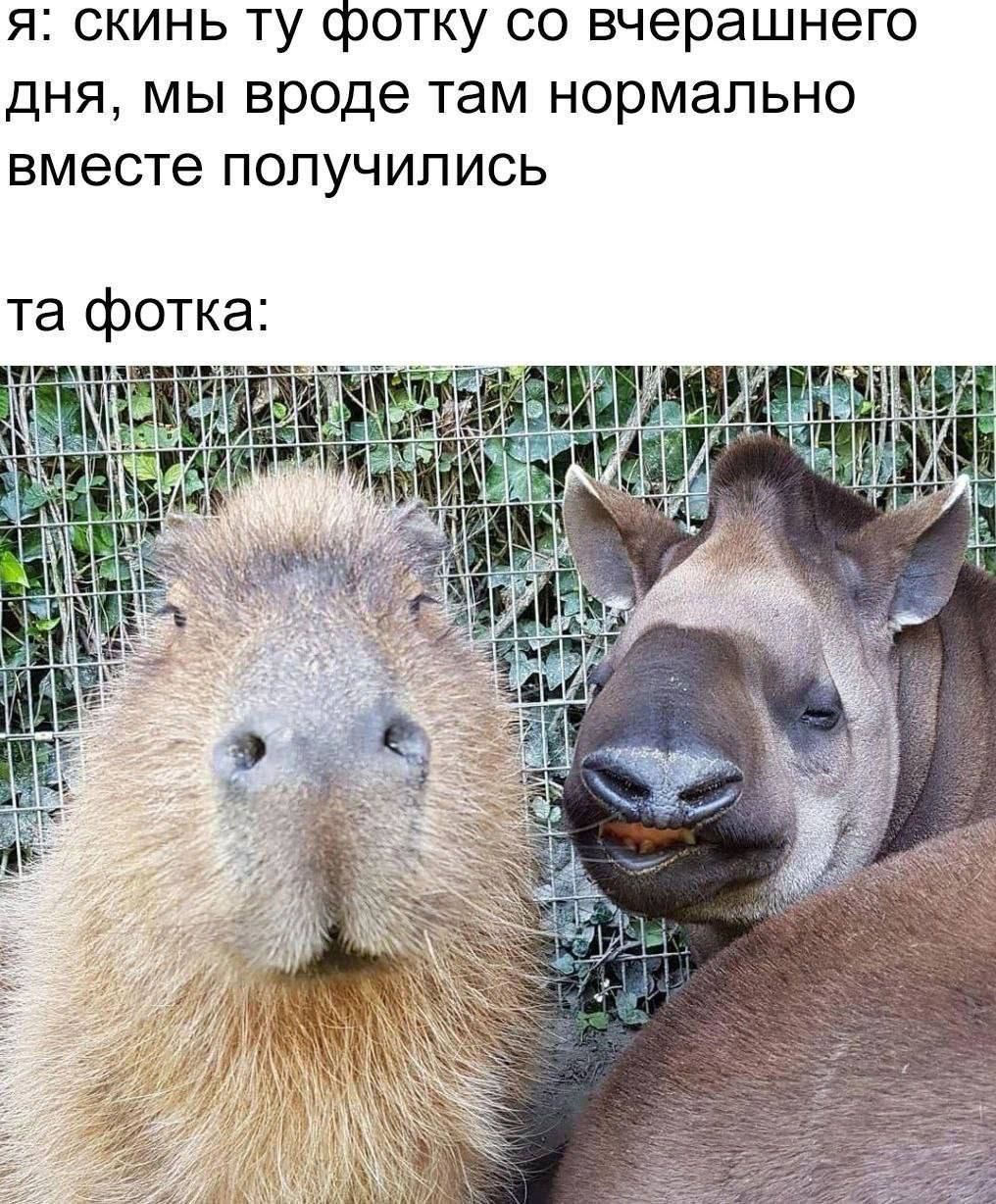 я: скинь ту фотку со вчерашнего дня, мы вроде там нормально вместе получилось

та фотка: