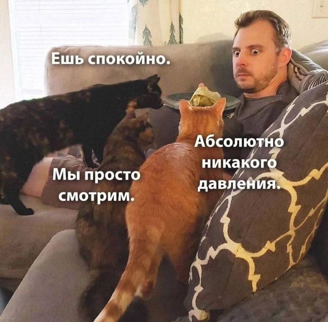 Ешь спокойно. Мы просто смотрим. Абсолютно никакого давления.