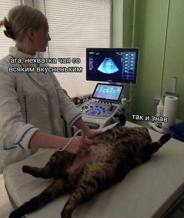 ага, нехватка чая со всяким вкусненьким так и знал