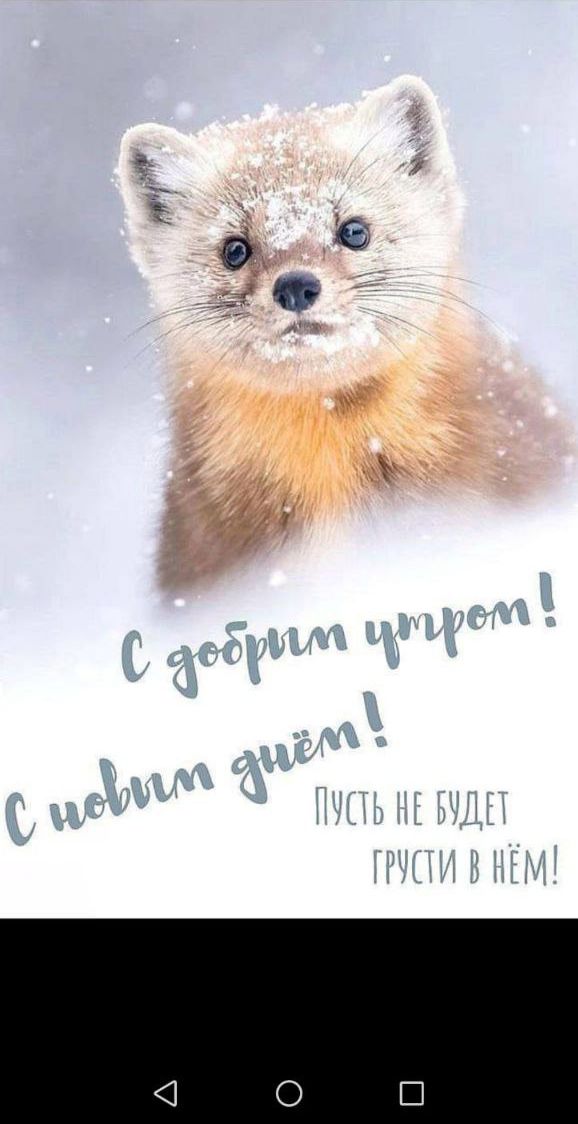 С добрым утром! С новым днём! Пусть не будет грусти в нём!