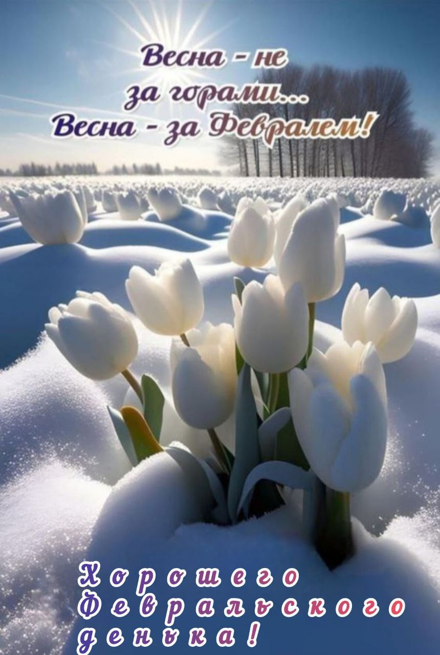 Весна - не за горами... Весна - за Февралем! Хорошего февральского денька!