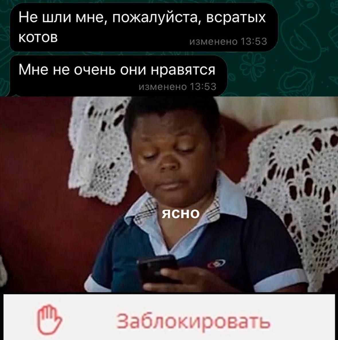 Не шли мне, пожалуйста, всратых котов Мне не очень они нравятся