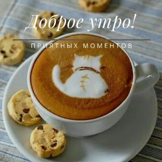 Доброе утро!
ПРИЯТНЫХ МОМЕНТОВ