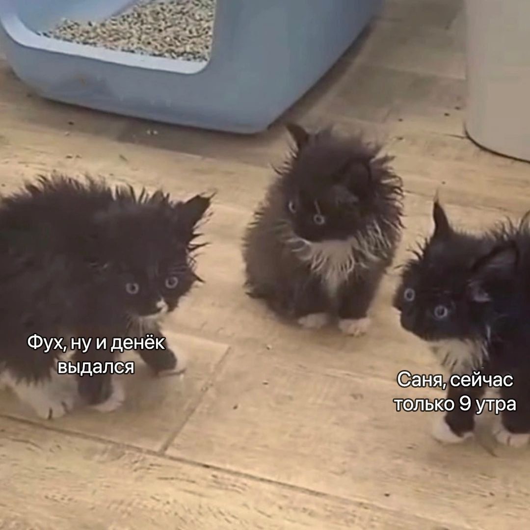 Фух, ну и денёк выдался
Саня, сейчас только 9 утра