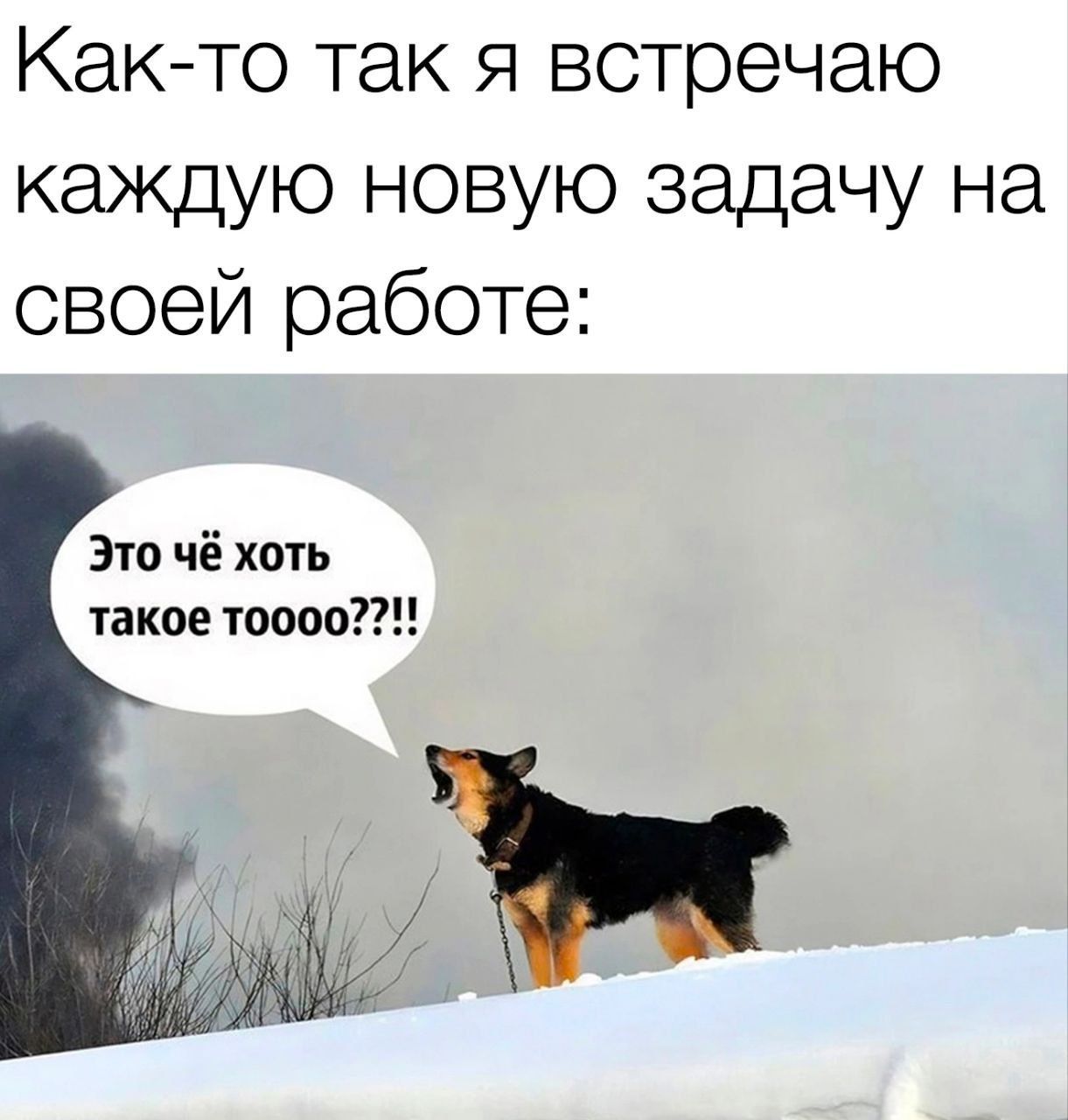 Как-то так я встречаю каждую новую задачу на своей работе: Это чё хоть такое тоооо?!