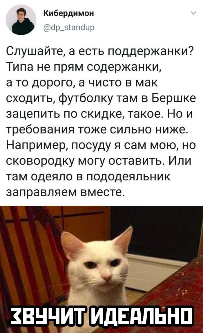 Слушайте, а есть поддержанки? Типа не прям содержанки, а то дорого, а чисто в мак сходить, футболку там в Бершке зацепить по скидке, такое. Но и требования тоже сильно ниже. Например, посуду я сам мою, но сковородку могу оставить. Или там одеяло в пододеяльник заправляем вместе.
