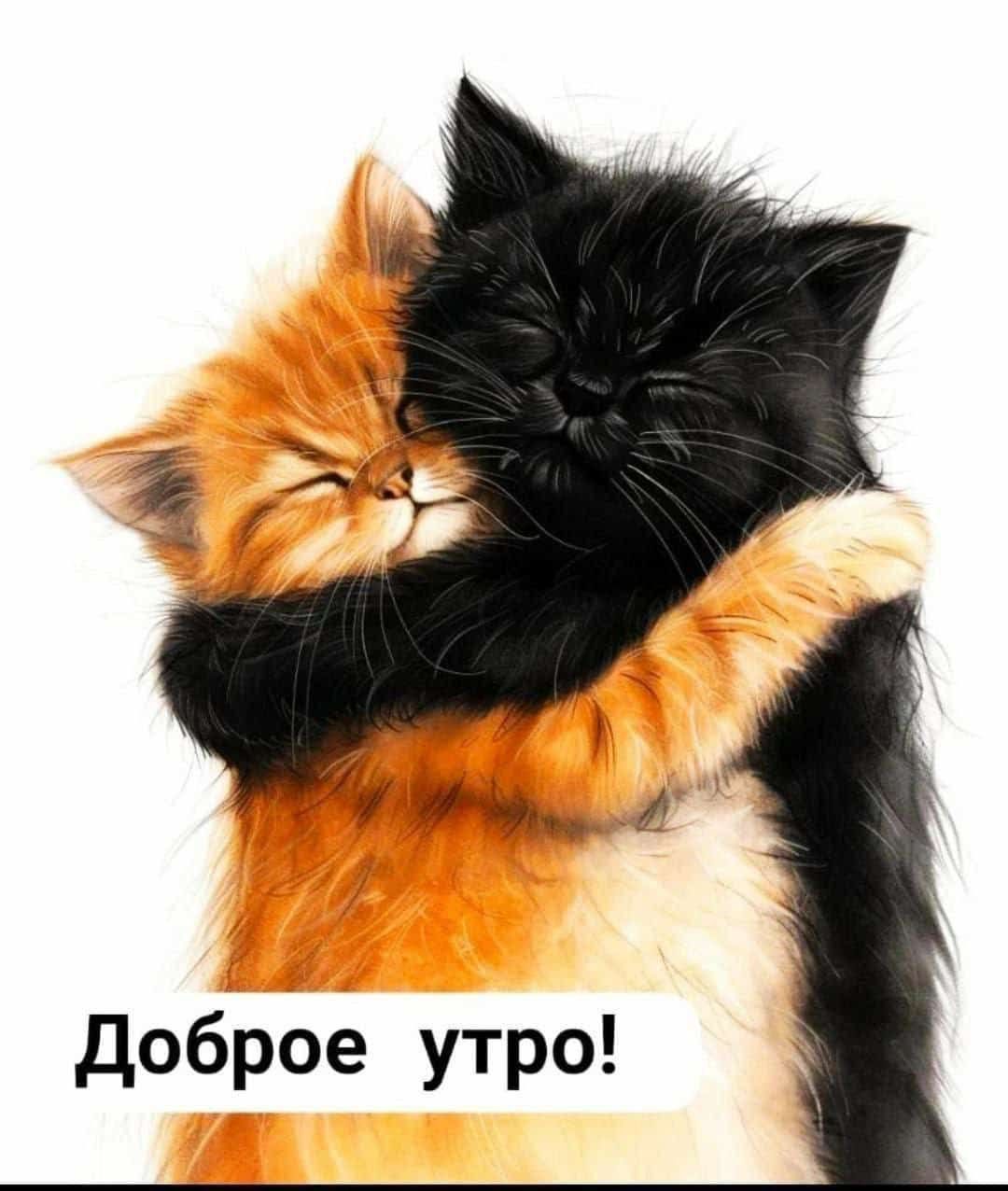 Доброе утро!