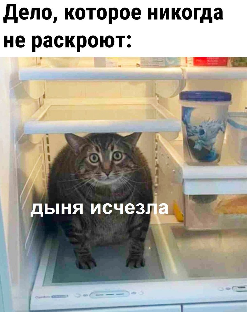 Дело, которое никогда не раскроют:\ndыня исчезла