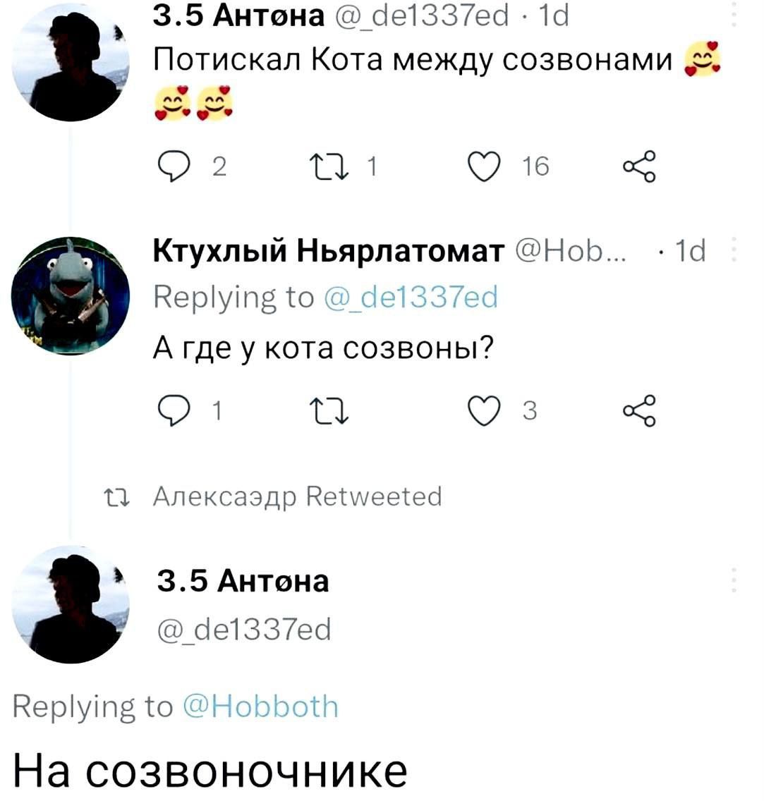 Потискал Кота между созвонами 😻😽. А где у кота созвон? На созвонночнике