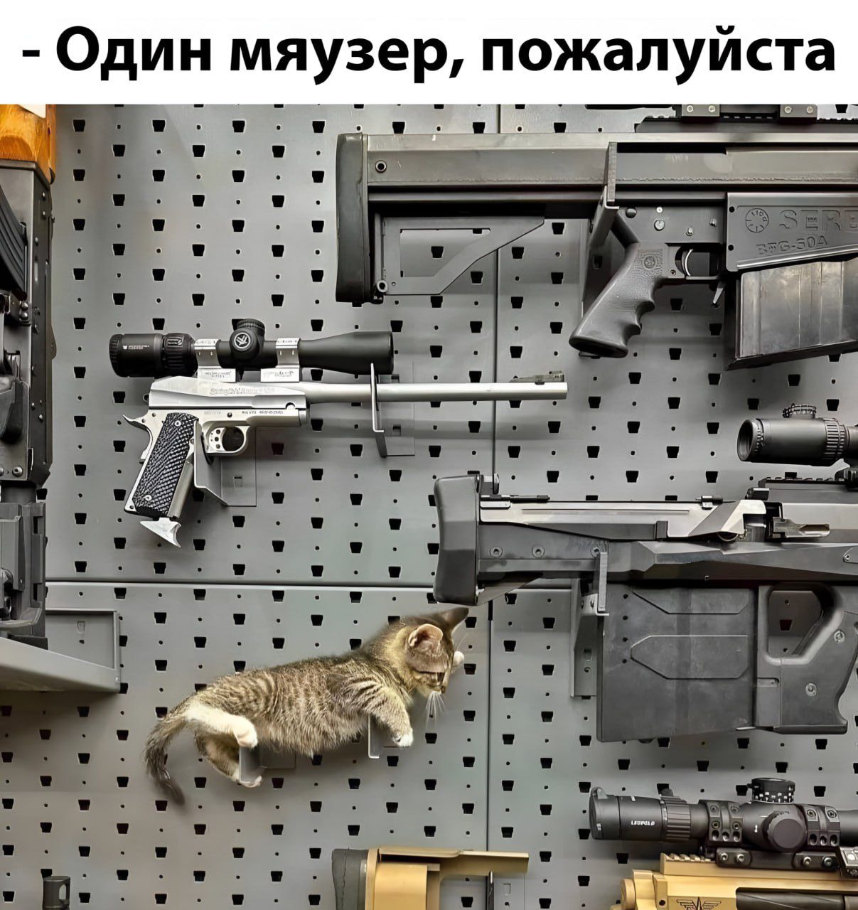 - Один мяуэр, пожалуйста